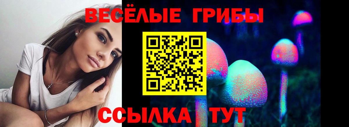 Галлюциногенные грибы Cubensis Фурманов