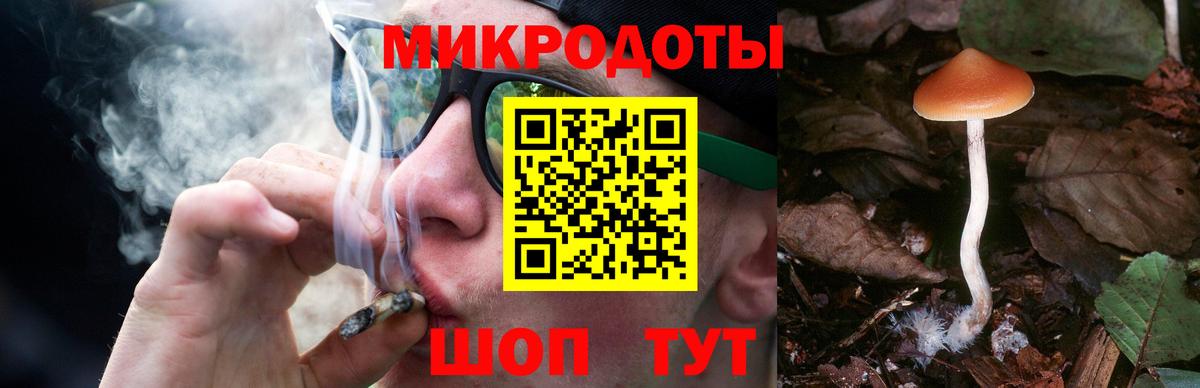 Фурманов  Галлюциногенные грибы GOLDEN TEACHER  Вход с VPN 